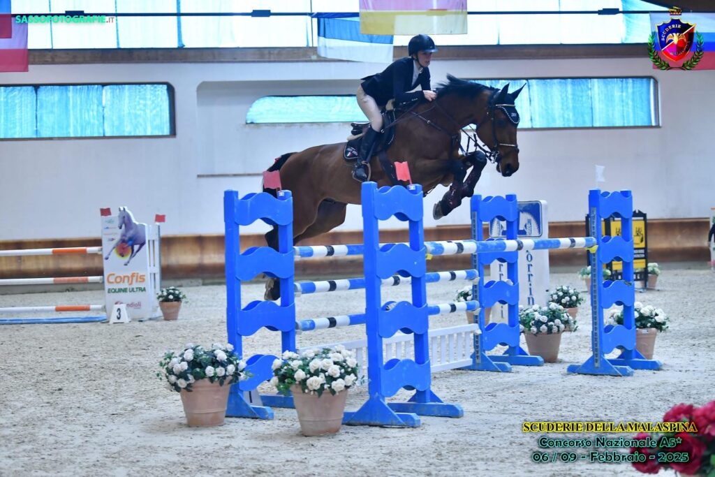 liberty horse srls centro ippico italia addestramento cavalli pony abbigliamento equestre maneggio allevamento gare salto ostacoli scuderie selle commercializzazione