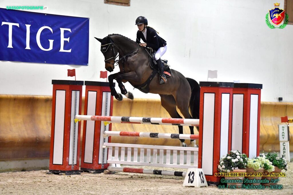 liberty horse srls centro ippico italia addestramento cavalli pony abbigliamento equestre maneggio allevamento gare salto ostacoli scuderie selle commercializzazione