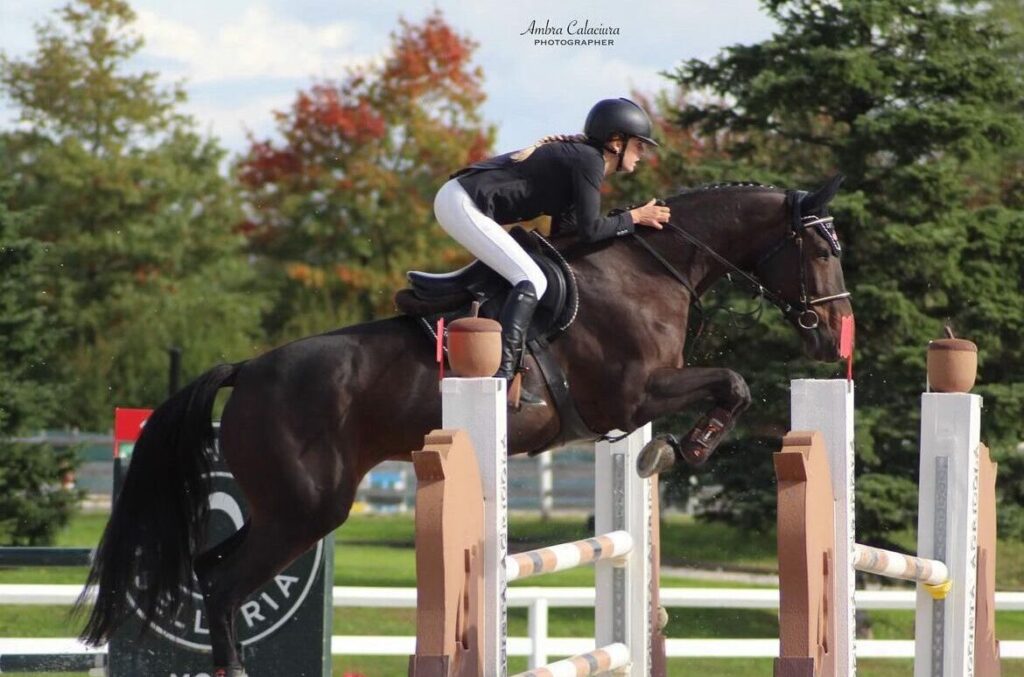liberty horse srls centro ippico italia addestramento cavalli pony abbigliamento equestre maneggio allevamento gare salto ostacoli scuderie selle commercializzazione