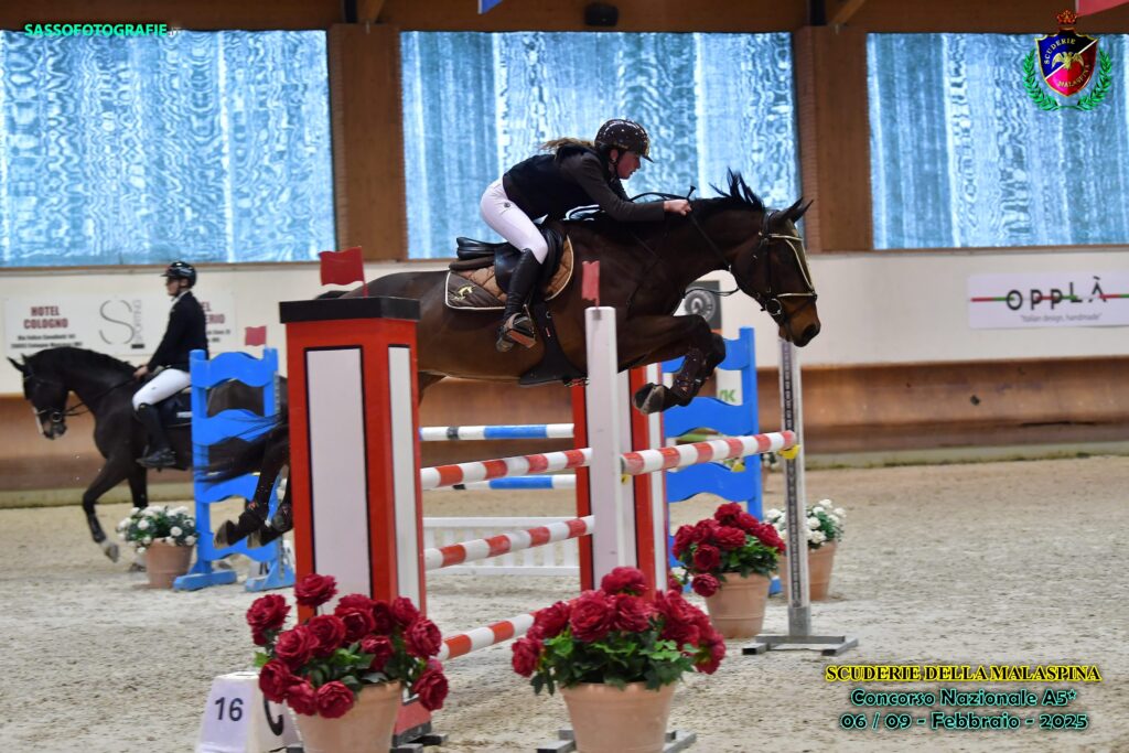 liberty horse srls centro ippico italia addestramento cavalli pony abbigliamento equestre maneggio allevamento gare salto ostacoli scuderie selle commercializzazione