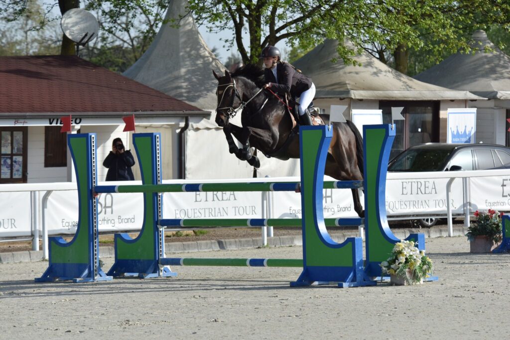 liberty horse srls centro ippico italia addestramento cavalli pony abbigliamento equestre maneggio allevamento gare salto ostacoli scuderie selle commercializzazione