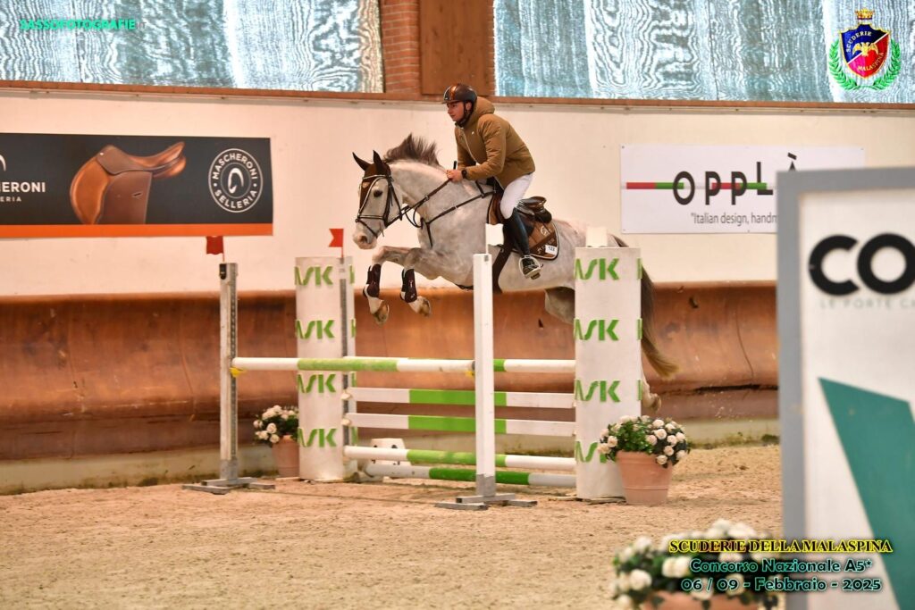 liberty horse srls centro ippico italia addestramento cavalli pony abbigliamento equestre maneggio allevamento gare salto ostacoli scuderie selle commercializzazione