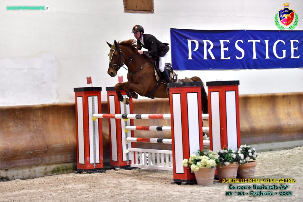 liberty horse srls centro ippico italia addestramento cavalli pony abbigliamento equestre maneggio allevamento gare salto ostacoli scuderie selle commercializzazione