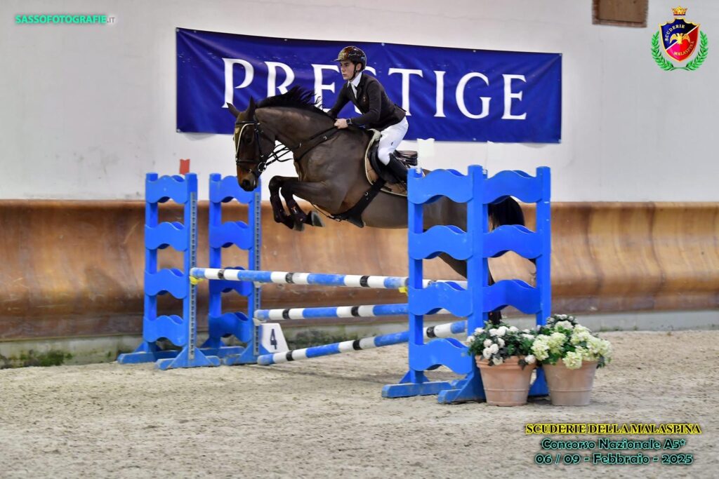 liberty horse srls centro ippico italia addestramento cavalli pony abbigliamento equestre maneggio allevamento gare salto ostacoli scuderie selle commercializzazione